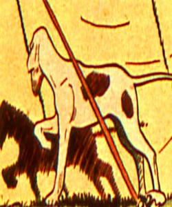 Crax (Jordan Circus Dog)