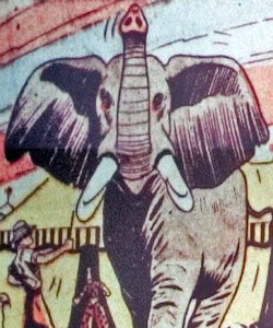 Jumbo (Bingland Circus)