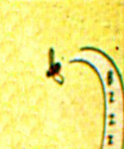 Michael (Red Bee's Bee)