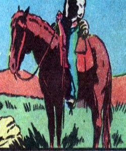 Star (Masked Rangers Horse)