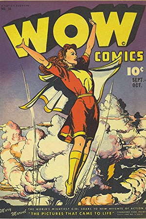 Wow Comics (1940) #38 [E Story]